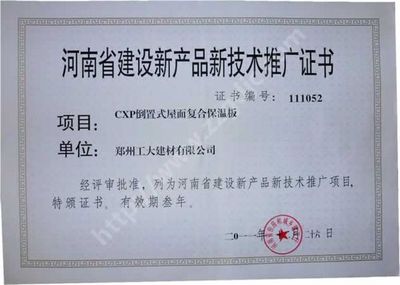 屋面防水施工方案與技術(shù)推廣要點(diǎn)